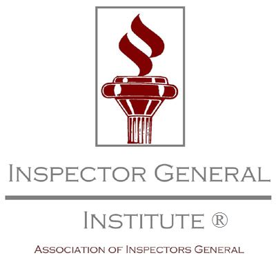 Inspector General Successes logo