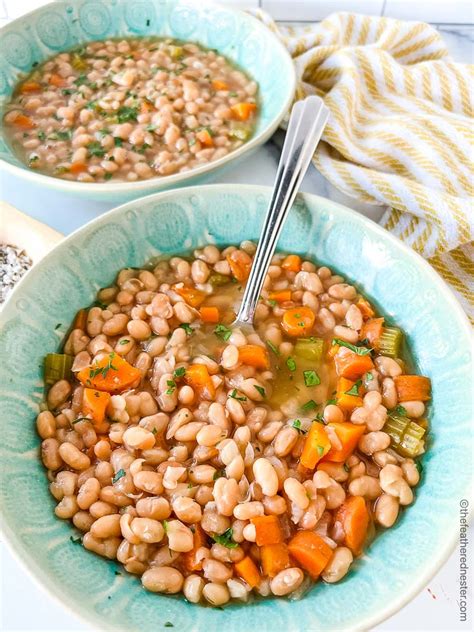 Instant Pot Navy Beans