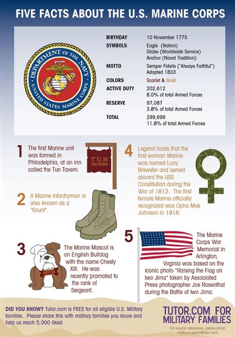 Interesting Facts About Military Service