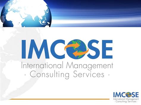 International Management Consultant