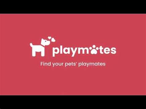 Introduction to the 5 Playmates