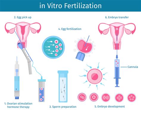 IVF success