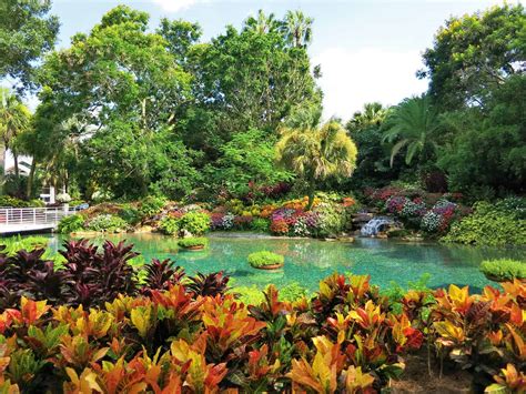 A botanical garden in France