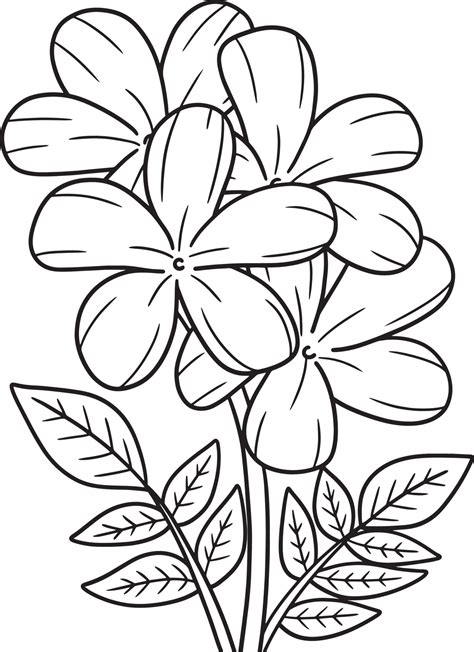 Jasmine Flower Coloring Page