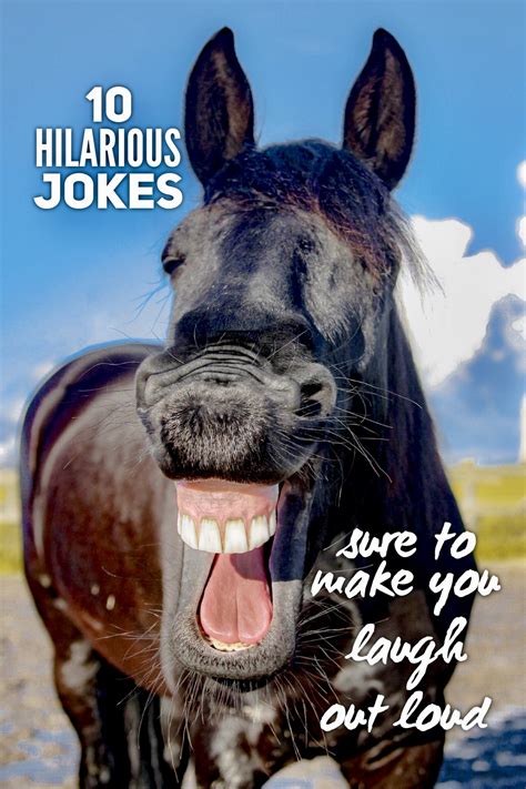 Jokes and Humor