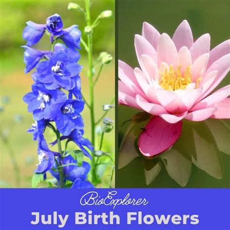 July birth flower tattoo ideas