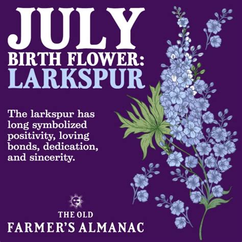 July birth flower combinations