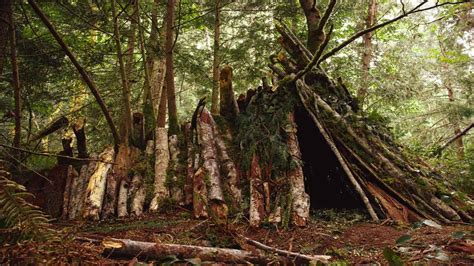 Jungle shelter building techniques