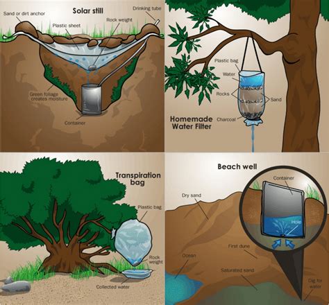 Jungle water purification techniques