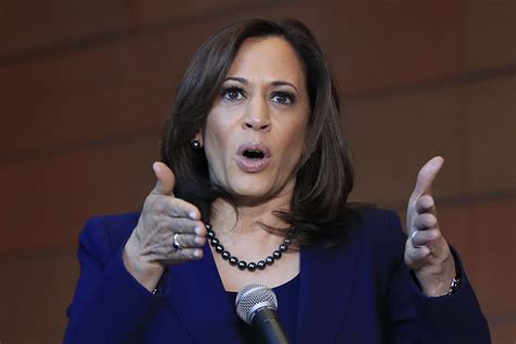 Kamala Harris's Presidential Bid Collapse