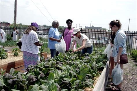 Kansas City Community Gardens