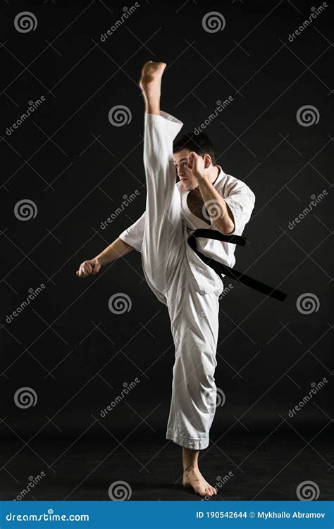 Karateka in Action