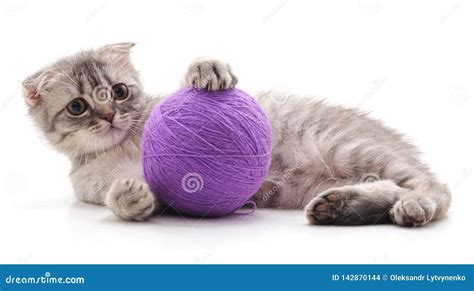 Kitten and ball