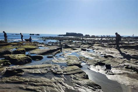 Laguna Beach Tide Tips