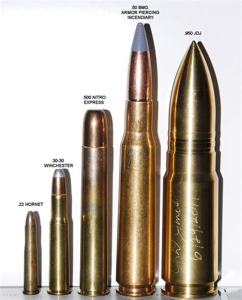 Size comparison of the largest caliber bullet