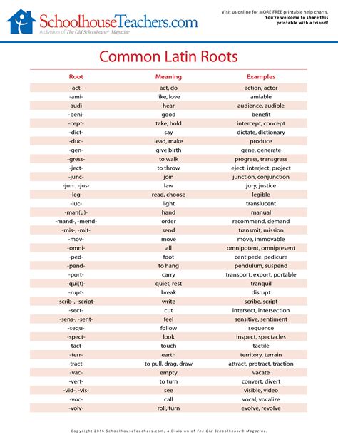 Image of Latin roots in SF words