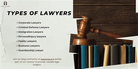 Lawyer Roles