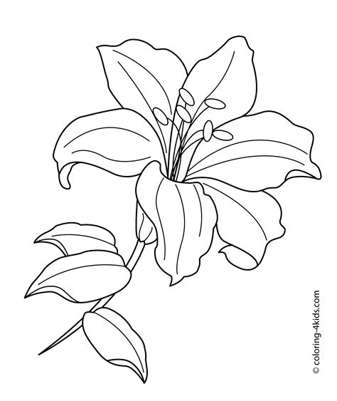 Lily Coloring Sheets