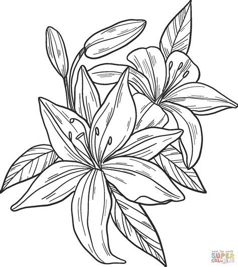 Description of Lily Printable