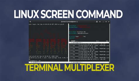 Linux Terminal