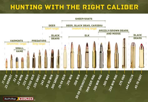 Long Range Shooting Bullets