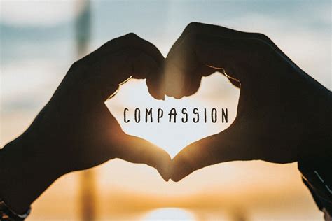 A person holding a sign that reads 'Love is compassion' illustrates the power of love to transcend boundaries.