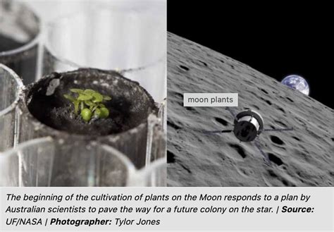 Description of Lunar Agriculture