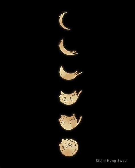 Illustration of a cat amidst lunar phases