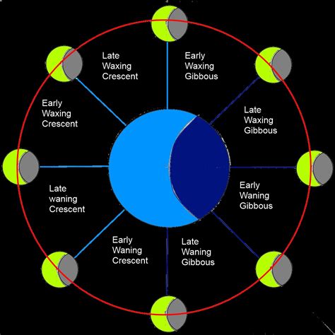 Lunar Cycle Phases