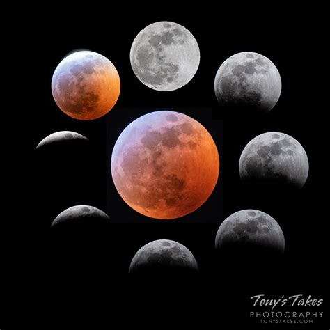 Lunar Eclipse Photos