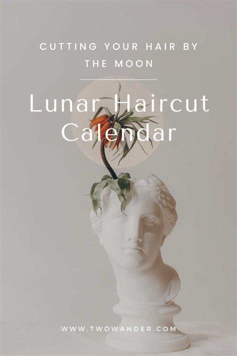 Lunar Hair Cut Preparation