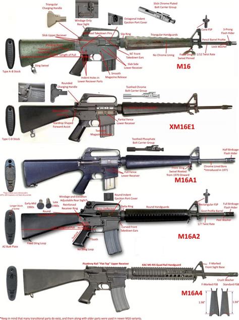 A selection of M16 rifle variants