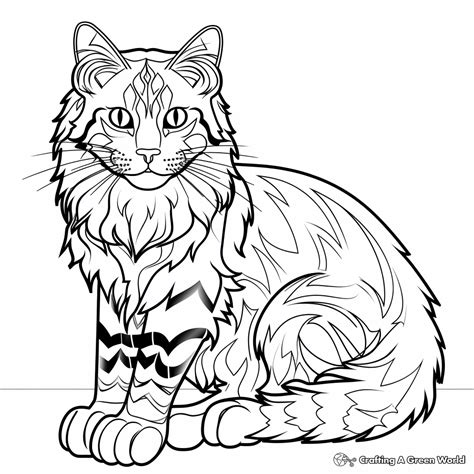 Maine Coon Cat Coloring Page