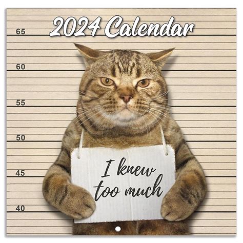 Making Funny Calendars Image