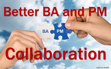 Management Analyst Collaboration