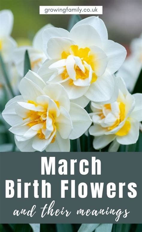 March birth flower tattoo ideas