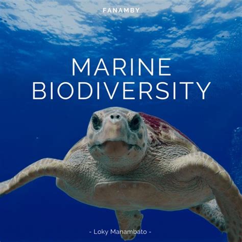 Marine Biodiversity Conservation