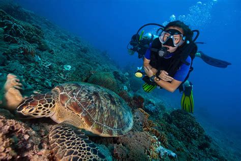 Marine Biologist Studying Coral Reef