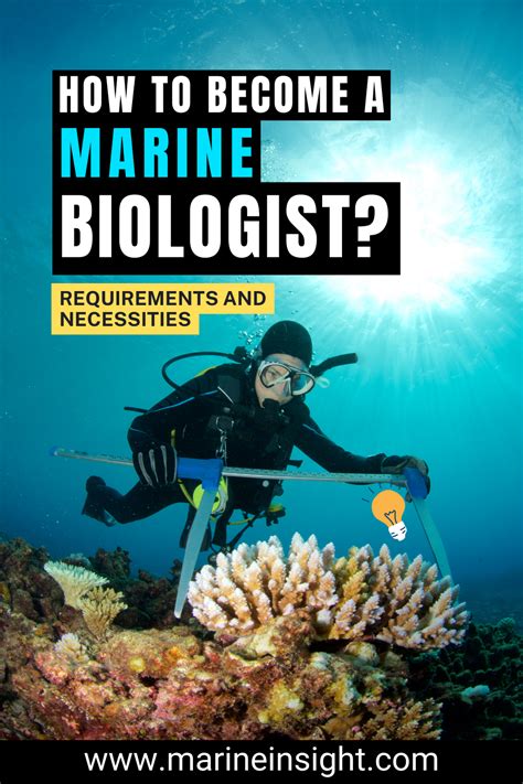 Marine biology education