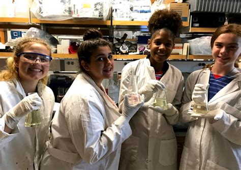 Marine chemists working in a lab