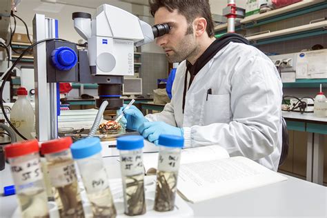 Marine chemists conducting research