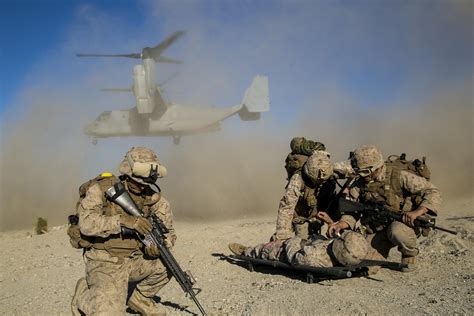 Marine Combat Training Image 1