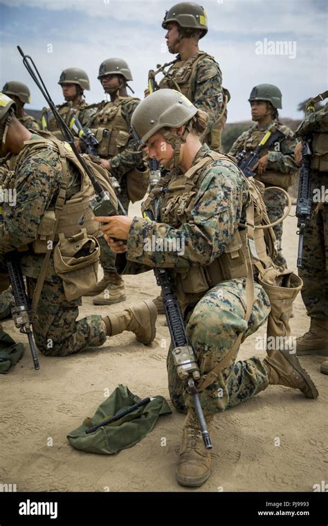 Marine Combat Training Image 8