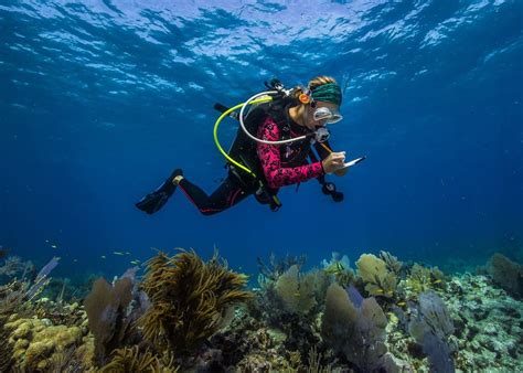 Marine conservationist monitoring sea turtle nests