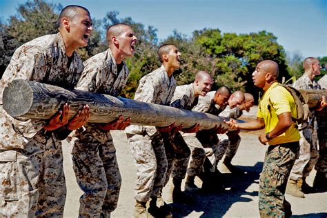 Marine Corps Basic Training Drill Instructors