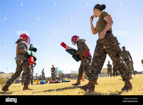 Marines bonding during a team-building exercise