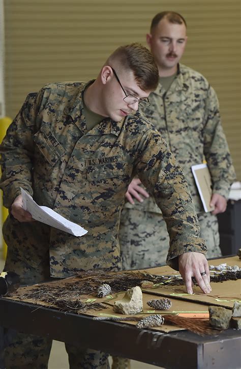 Marine Corps Career Advancement Opportunities