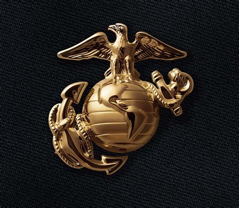 Marine Corps Enlisted Training Image 10