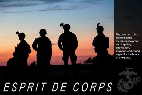 Marine Corps Esprit De Corps