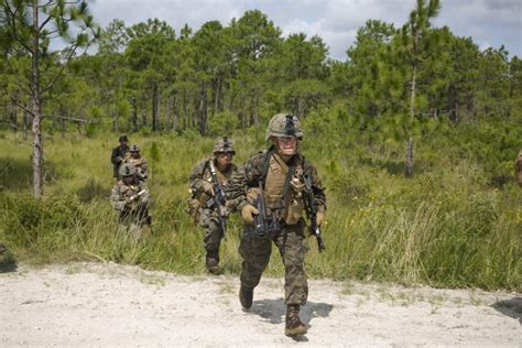 Marine Corps Fire Team Tactics